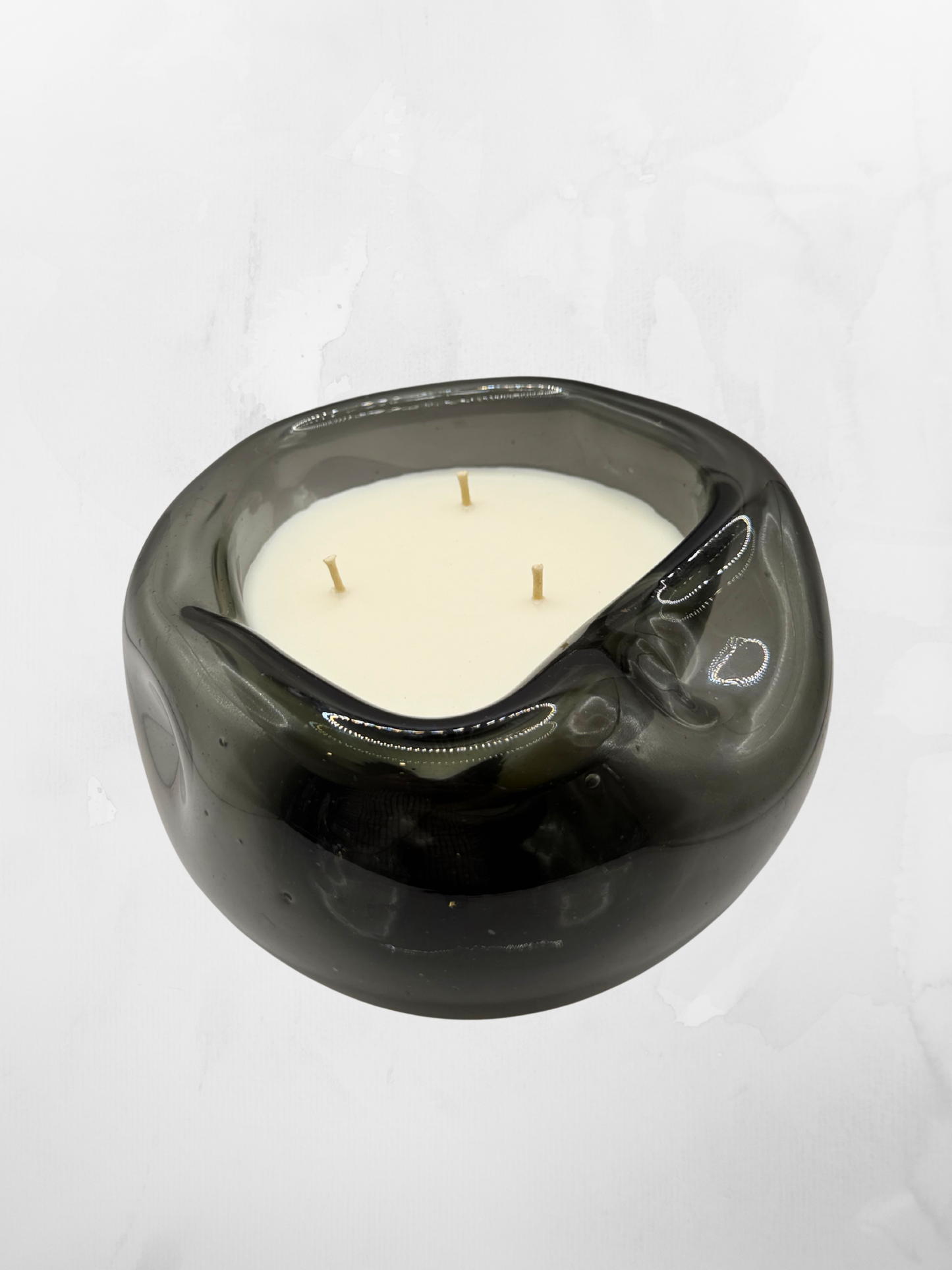 Belina Humo | 15 cm