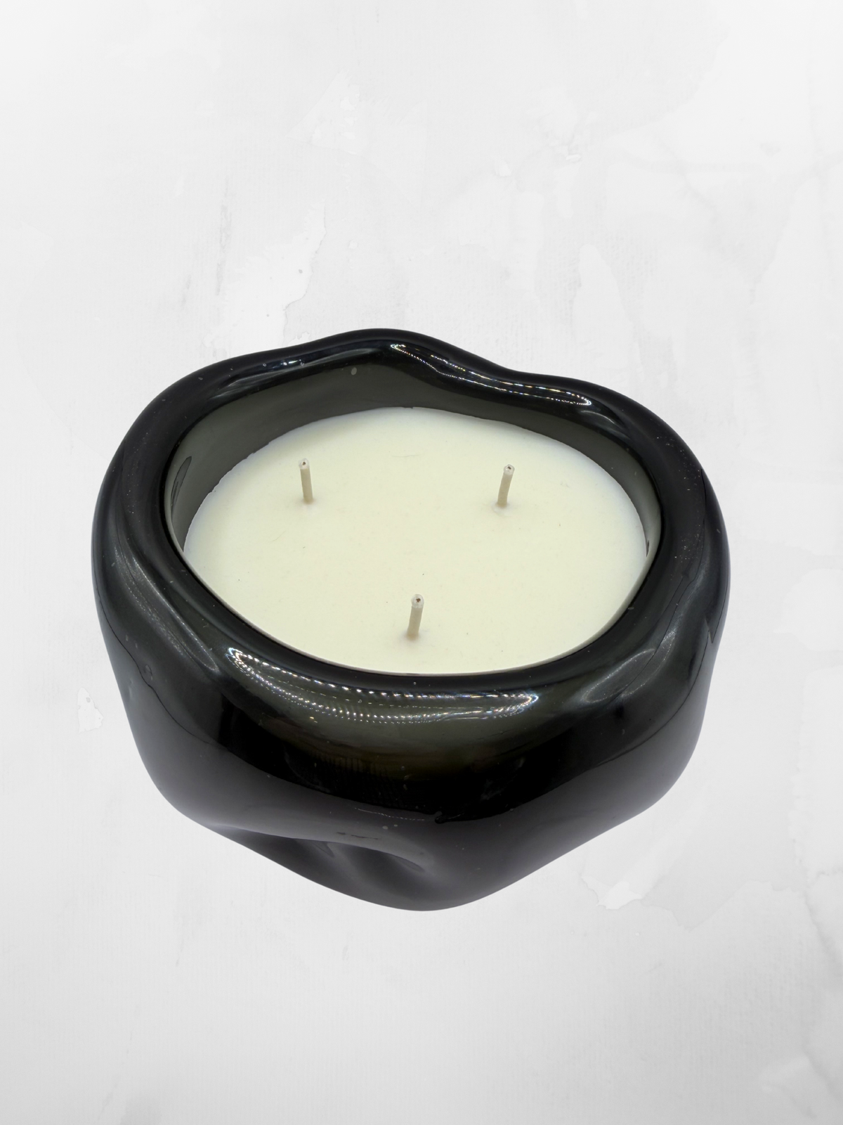 Belina Humo | 15 cm