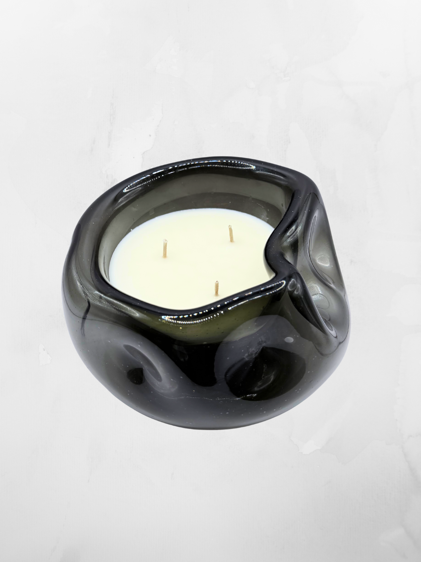 Belina Humo | 20 cm