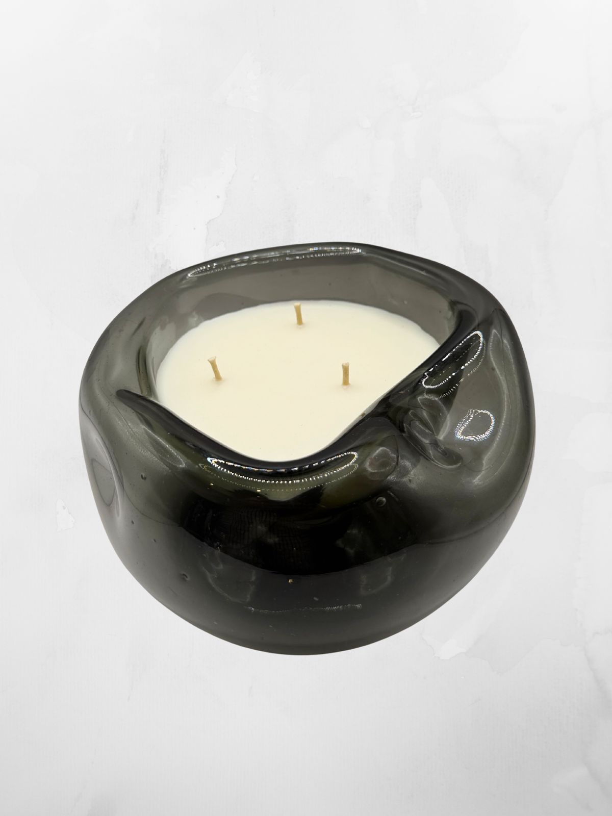 Belina Humo | 15 cm
